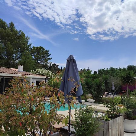 B&B La Terre Brulee Aigues-Mortes Buitenkant foto