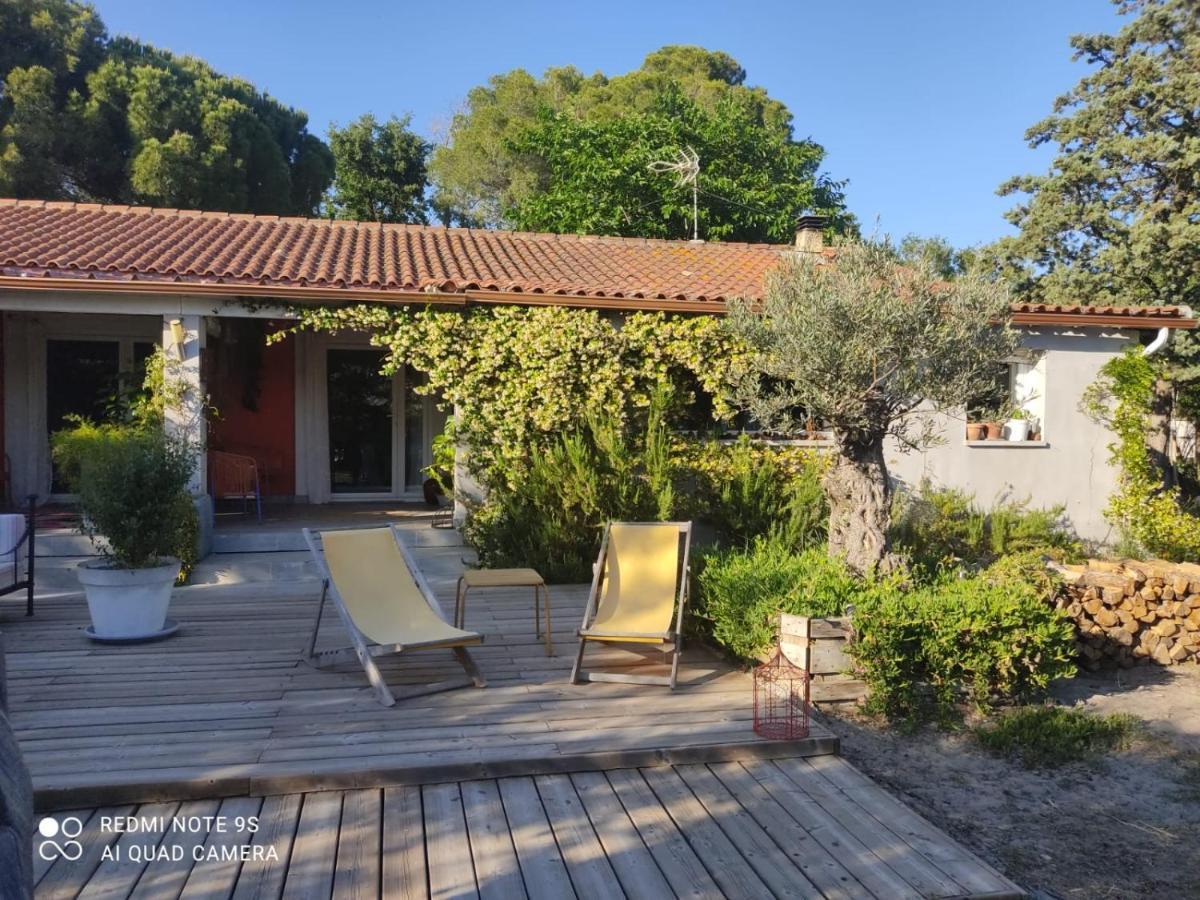 B&B La Terre Brulee Aigues-Mortes Buitenkant foto