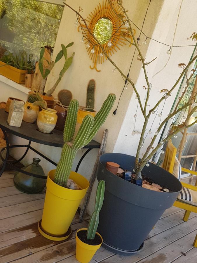 B&B La Terre Brulee Aigues-Mortes Buitenkant foto